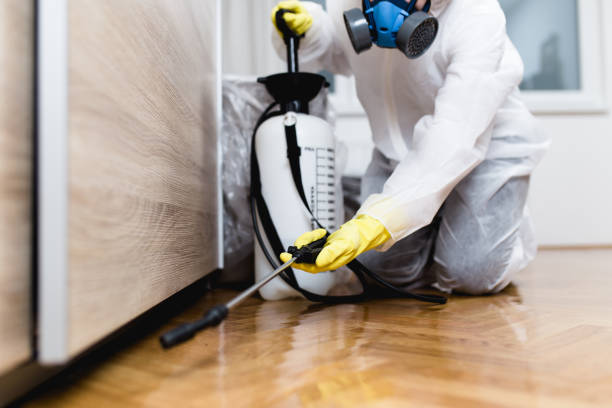 Best Rat Extermination Near Me  in Mianna, AR