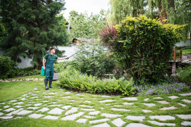 Best Wasp Removal Services  in Mianna, AR