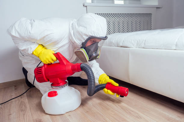 Best Wasp Removal Services  in Mianna, AR