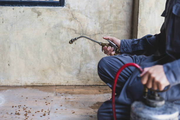 Best Exterminator Services  in Mianna, AR