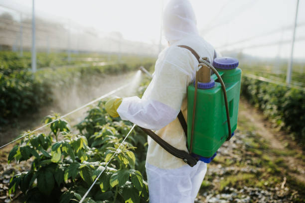 Best Best Pest Control Companies  in Mianna, AR